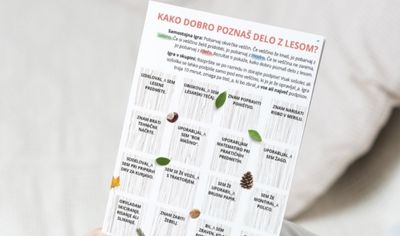 Podjetja - prihodnost lesarske panoge